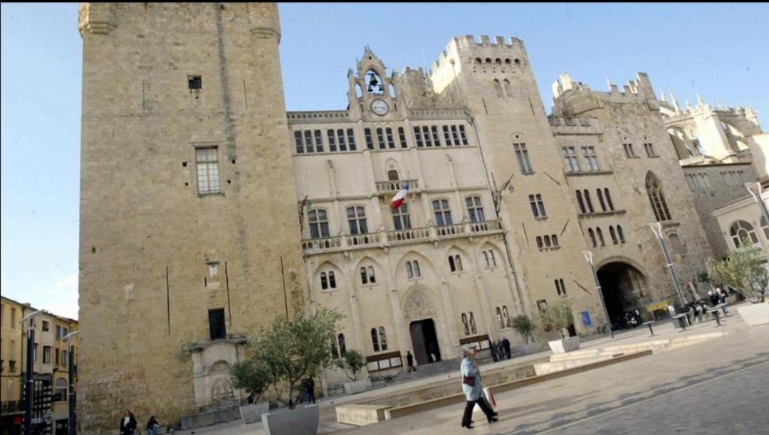 Studio Au Coeur Du Quartier Historique 纳博讷 外观 照片